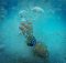 Cele mai bune destinații pentru snorkeling și scufundări