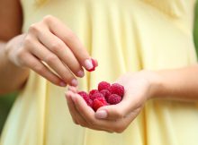 De la antioxidanți la detoxifiere: Totul despre beneficiile rubarbei